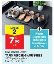 LOT DE  2  799  Llet  Protège les planchers et moquettes des salissures  et de l'eau  HOME CREATION LIVING  TAPIS REPOSE-CHAUSSURES  100% polypropylène.  Env. 75,5 x 38 cm. 