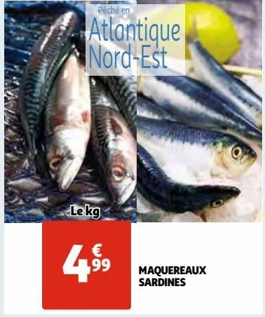 maquereaux sardines