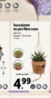 @@  Amage  35 cm  Q  Succulente en pot fibre coco  a 8,5 cm Hauteur: 12 cm min.  L'unité au choix  4.9⁹9⁹ 