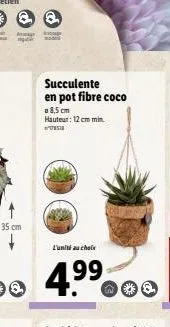 @@  amage  35 cm  q  succulente en pot fibre coco  a 8,5 cm hauteur: 12 cm min.  l'unité au choix  4.9⁹9⁹ 