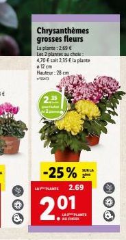 Q  Chrysanthèmes grosses fleurs  La plante: 2,69 € Les 2 plantes au chote: 4,70 € soit 2,35 € la plante a 12 cm  Hauteur: 28 cm 55413  2.35  -25%  LAT PLANTE 2.69  201  SUR LA  2  LA PLANTE AU CHOIX  