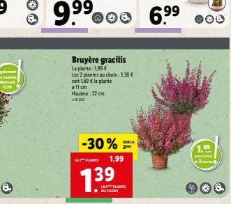 O  Bruyère gracilis  La plante: 1,99 € Les 2 plantes au choix:3,38 € soit 1,69 € la plante all cm Hauteur: 22 cm 51292  -30%  LAY PLANTE 1.99  1.39  SUR LA 2  LA PLANTE  9⁹⁹.00 6⁹⁹.00  99  1.92  2 