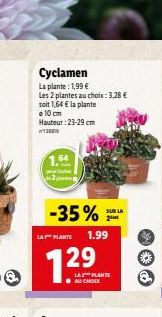 Cyclamen  La plante: 1,99 €  Les 2 plantes au choix: 3,28 €  soit 1,64 € la plante e 10 cm  Hauteur: 23-29 cm  W  1.64  -35%  LA PLANTE 1.99  1²  29  LA PLANTE  SUR LA 21M  Q 