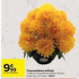 999  Lechrysanthe 