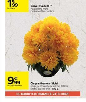 199  La plante  999⁹9  Lechrysantheme  Bruyère Calluna Pot diamètre 10 cm. Este en différents colors.  Chrysanthème artificiel  Coupe de chrysantheme article 16tites Existe aussi en 9.7.99 €  DU MARDI
