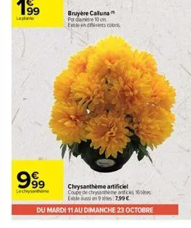 199  la plante  999⁹9  lechrysantheme  bruyère calluna pot diamètre 10 cm. este en différents colors.  chrysanthème artificiel  coupe de chrysantheme article 16tites existe aussi en 9.7.99 €  du mardi