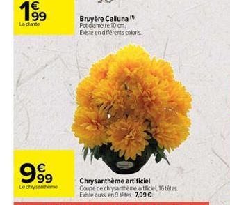 19⁹  La planto  999  Lechrysanthe  Bruyère Calluna Pot diamètre 10 cm. Existe en différents coloris 