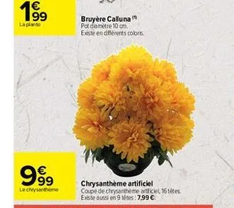 19⁹  la planto  999  lechrysanthe  bruyère calluna pot diamètre 10 cm. existe en différents coloris 