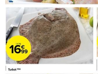 turbot 