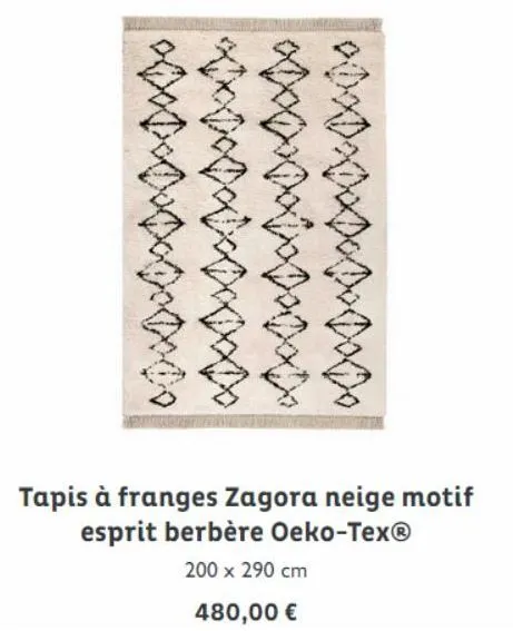xx  tapis à franges zagora neige motif esprit berbère oeko-tex®  200 x 290 cm  480,00 €  