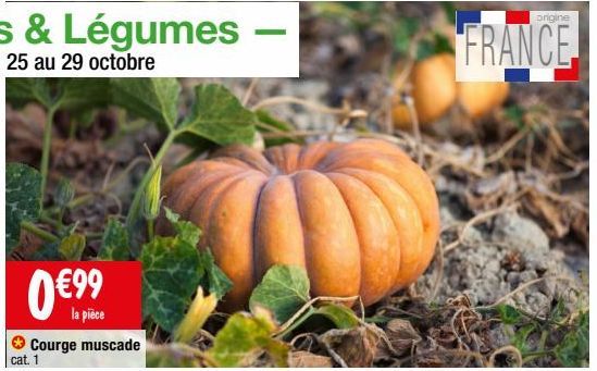 légumes