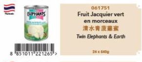ELEPHANTS  851011-221265 >  061751  Fruit Jacquier vert  en morceaux  清水青菠蘿蜜  Twin Elephants & Earth  24x6400 