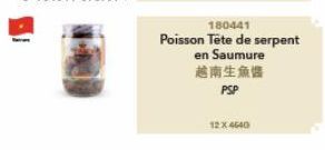 180441  Poisson Tête de serpent  en Saumure  越南生魚醬  PSP  12 X 4640 