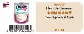 ELEPHANTS  8 851011 222262  060017  Fleur de Bananier  泰國罐頭香蕉糖  Twin Elephants & Earth  24 x 640g 