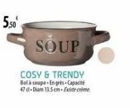 5,50  SOUP  COSY & TRENDY Bel à soupe En grès-Capacit 47d-Diam 13.5 cm-Existe creme 