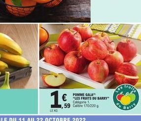 POMME GALA  €"LES FRUITS DU BARRY"  Categorie 1. 59 Calibre 170/220 g  Los Traje  du  Bart  wwwww 