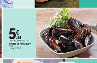 moules 