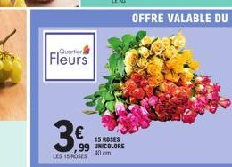 Quartier  Fleurs  360  €  LES 15 ROSES  15 ROSES 99 UNICOLORE  40 cm 