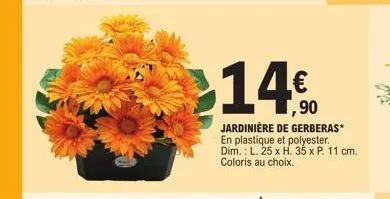 jardinière 