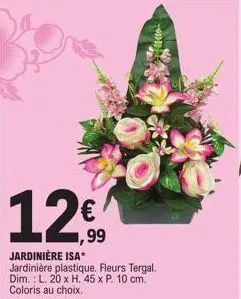 12€  jardinière isa*  jardinière plastique. fleurs tergal. dim.: l. 20 x h. 45 x p. 10 cm. coloris au choix. 