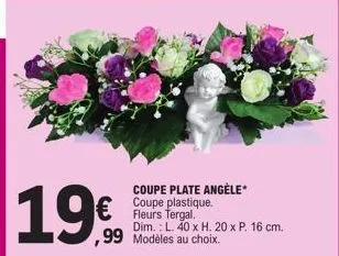 19€  coupe plate angèle* coupe plastique. fleurs tergal. dim.: l. 40 x h. 20 x p. 16 cm.  ,99 modèles au choix. 