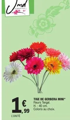 l'unité  € 99 coloris au choix.  tige de gerbera mini* fleurs tergal. h.: 40 cm. 