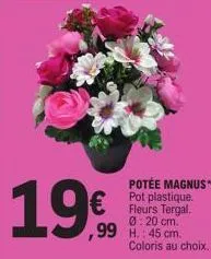 €  ,99  potée magnus* pot plastique. fleurs tergal. 0:20 cm. h.: 45 cm. coloris au choix. 