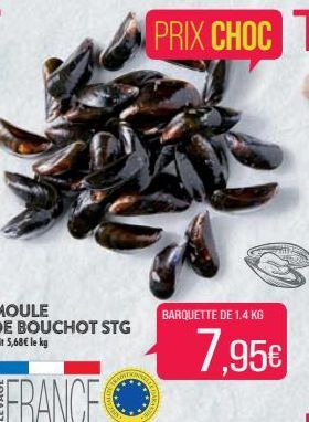 moule 