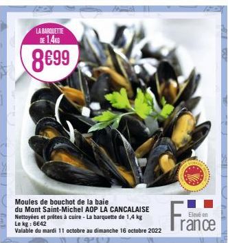 moules 