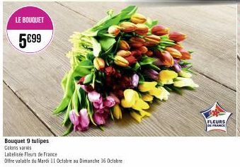 LE BOUQUET  5€99  Bouquet 9 tulipes Coloris varies  Labelisée Fleurs de France  Offre valable du Mardi 11 Octobre au Dimanche 16 Octobre  FLEURS/ DE FRANCE 