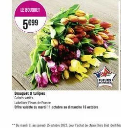le bouquet  5€99  bouquet 9 tulipes coloris variés  labelisée fleurs de france  offre valable du mardi 11 octobre au dimanche 16 octobre  fleurs de france 