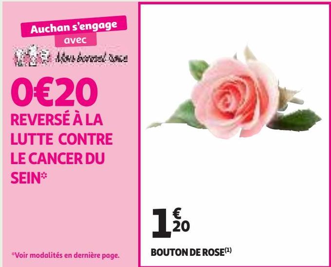 BOUTON DE ROSE