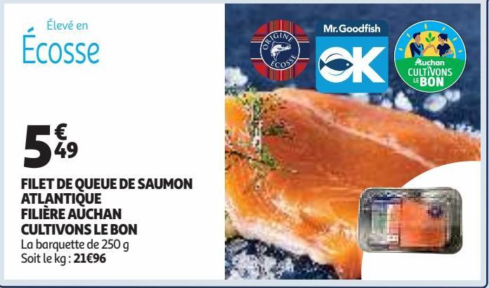 FILET DE QUEUE DE SAUMON ATLANTIQUE FILIÈRE AUCHAN CULTIVONS LE BON