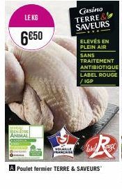 BIEN-ÊTRE ANIMAL  LE KG  6850  Casino  TERRE  SAVEURS  ELEVÉS EN PLEIN AIR  SANS TRAITEMENT ANTIBIOTIQUE LABEL ROUGE /IGP  R  VOLABLE FRANÇAISE  Poulet fermier TERRE & SAVEURS 