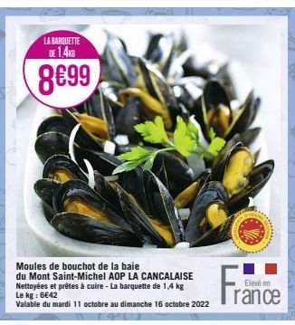 moules 