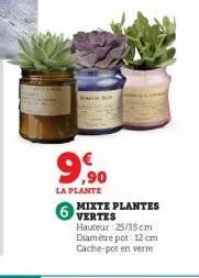 ,90  la plante  6 vertes  mixte plantes  hauteur: 25/35 cm diamètre pot 12 cm cache-pot en verre 