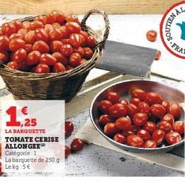 tomate cerise 