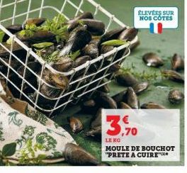 ÉLEVÉES SUR NOS CÔTES  LE KG  MOULE DE BOUCHOT "PRETE A CUIRE 