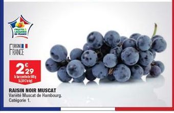 FRUITS  LECAM  ORGNE  FRANCE  229  450  RAISIN NOIR MUSCAT Variété Muscat de Hambourg. Catégorie 1. 