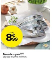 Le kg  8.99  Daurade royale ( La pièce de 300 g minimum 