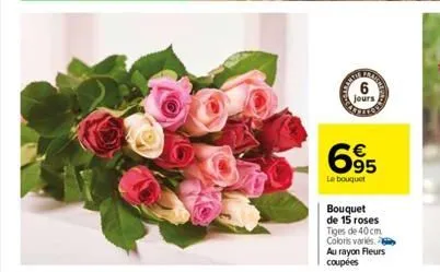 grand  jours  cerceta  695  le bouquet  bouquet de 15 roses tiges de 40 cm coloris variés au rayon fleurs coupées 