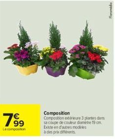 1⁹9⁹  La composition  Composition  Composition extérieure 3 plantes dans sa coupe de couleur damètre 19 cm. Existe en d'autres modeles  à des prix différents  Floramida 