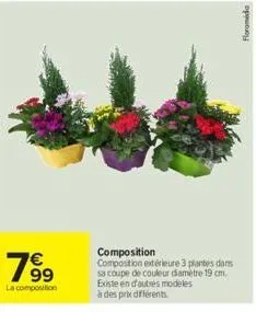 1⁹9⁹  la composition  composition  composition extérieure 3 plantes dans sa coupe de couleur damètre 19 cm. existe en d'autres modeles  à des prix différents  floramida 