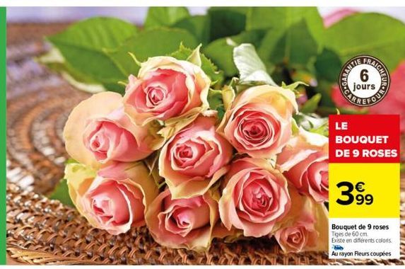 GARAN  RANTIE  jours  LE  BOUQUET DE 9 ROSES  399  Bouquet de 9 roses Tiges de 60 cm Existe en différents coloris  Au rayon Fleurs coupées  VALLEY 