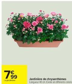 189⁹  La jardinie  Jardinière de chrysanthèmes Longueur 40 cm. Existe en différents coloris 