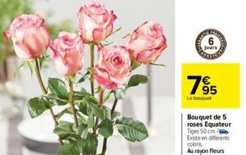 KOMARACA  9  jours  195  Le bouquet  TRASEE  Bouquet de 5  roses Equateur Tiges 50 cm  Existe en différents coloris. Au rayon Fleurs  coupées 