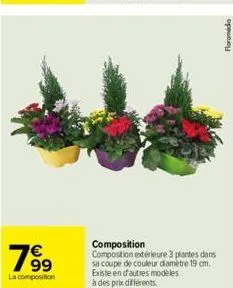 199⁹  la composition  composition  composition extérieure 3 plantes dans  sa coupe de couleur diamètre 19 cm. existe en d'autres modeles à des prix différents.  floramida 