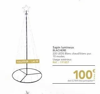 10  hauteur: 1,80 m  sapin lumineux blachere  220 leds blanc chaud/blanc pur.  10 modes.  usage extérieur. ref.: 191857  100  dont 0,2cht de participation**  