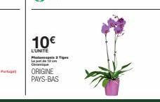 10€  L'UNITE Pha de 12 cm Ceramique  ORIGINE PAYS-BAS  Tige 
