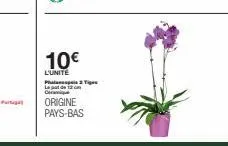 10€  l'unite pha de 12 cm ceramique  origine pays-bas  tige 